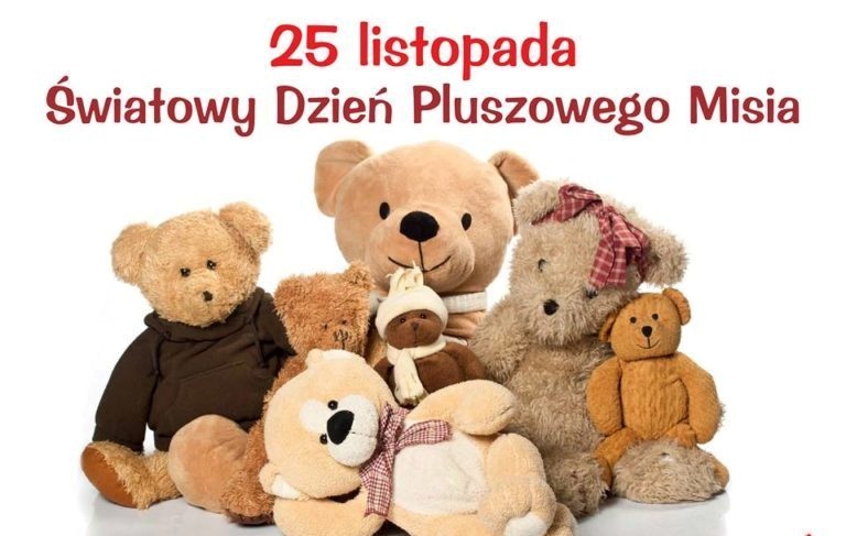 Read more about the article Dzień misia