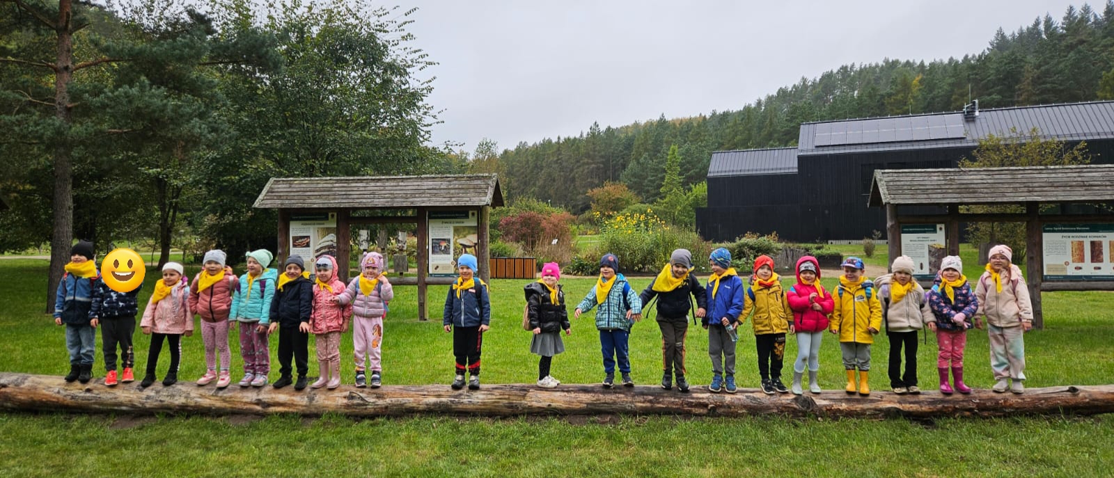 Read more about the article 🌳Leśna przygoda Żabek🐸 w Marszewie🌳🍂