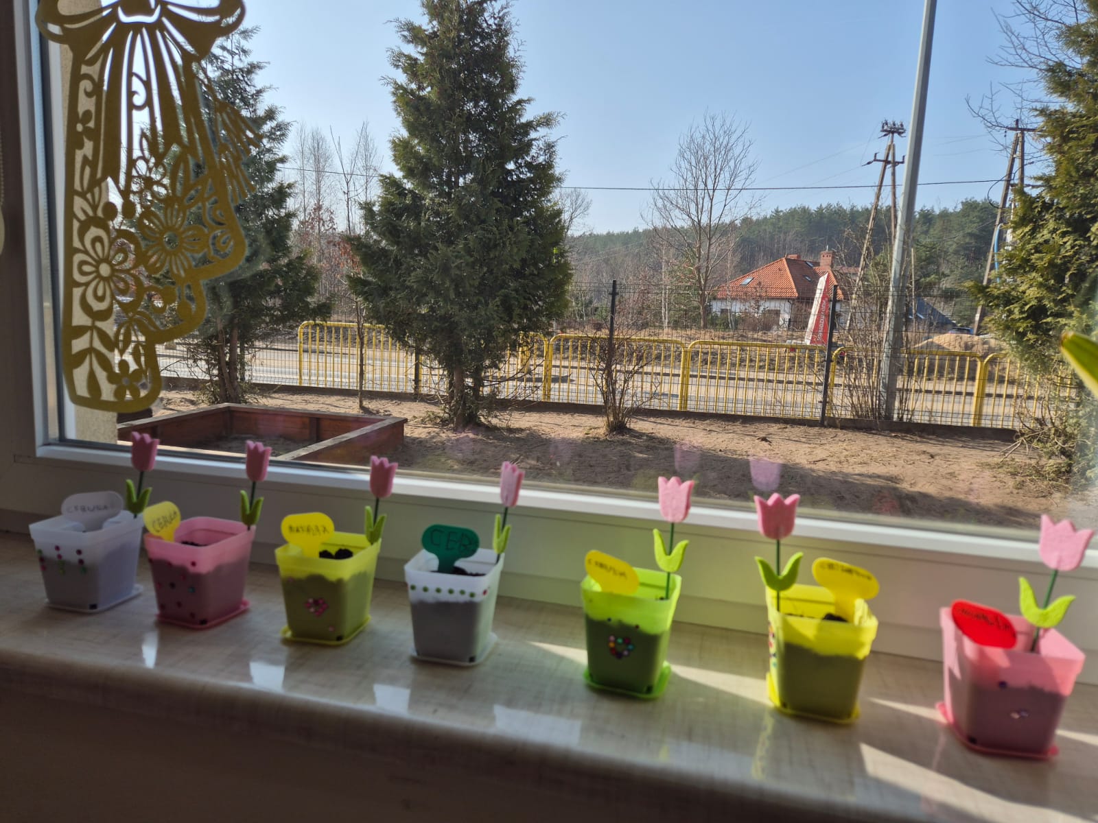 Read more about the article Sówkowe 🧅cebulki🧅